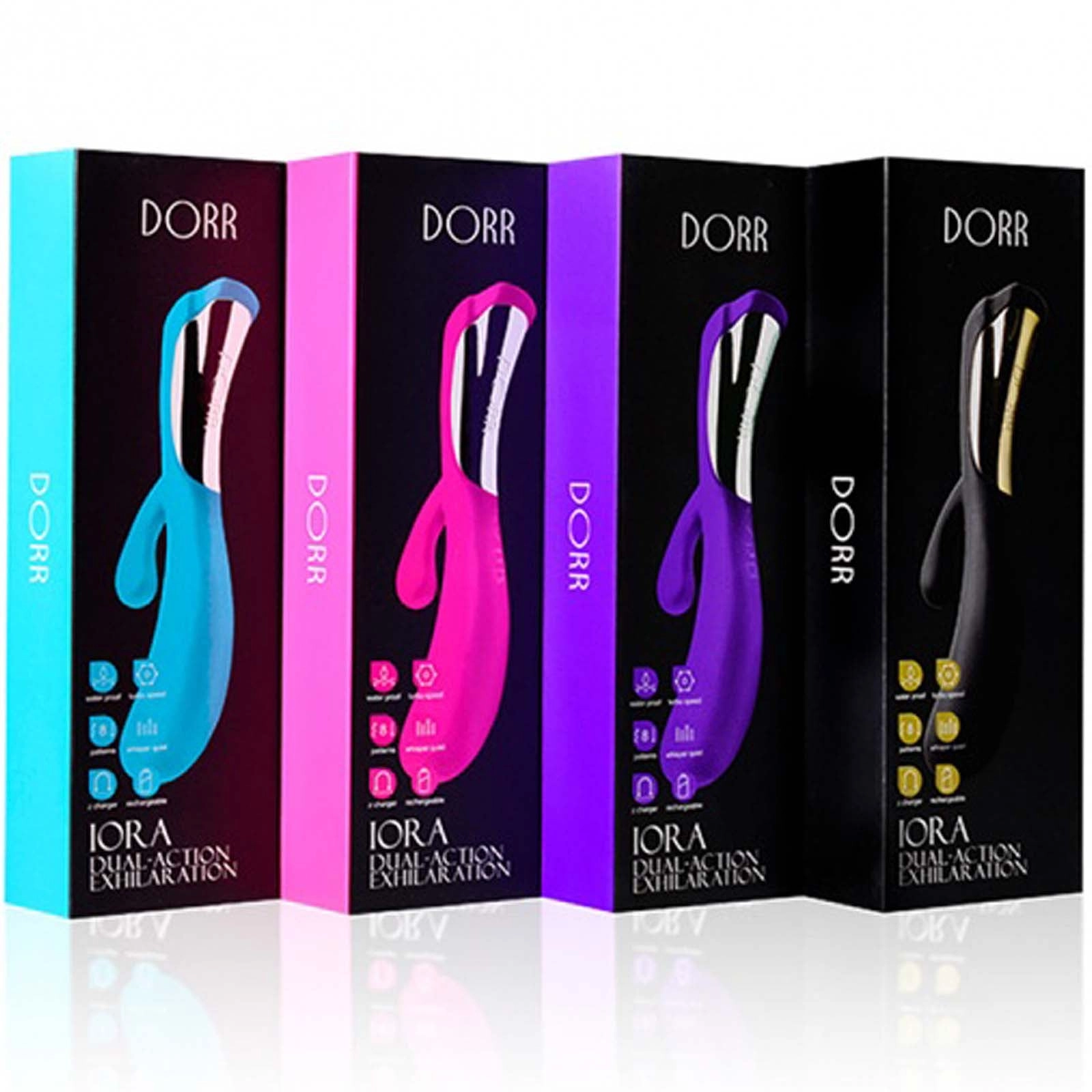 Dorr Iora - Purple