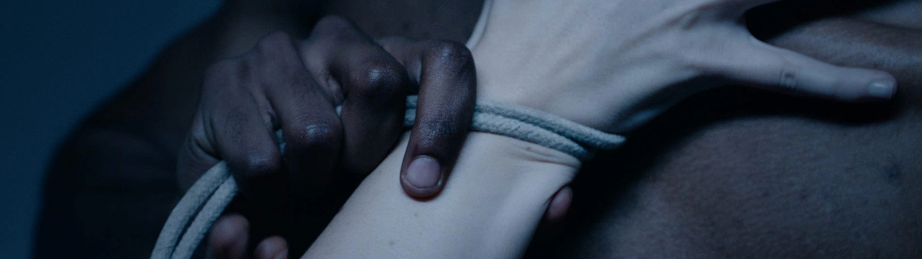 Entwined: The Art Of Rope Bondage