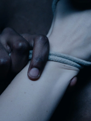 Entwined: The Art Of Rope Bondage