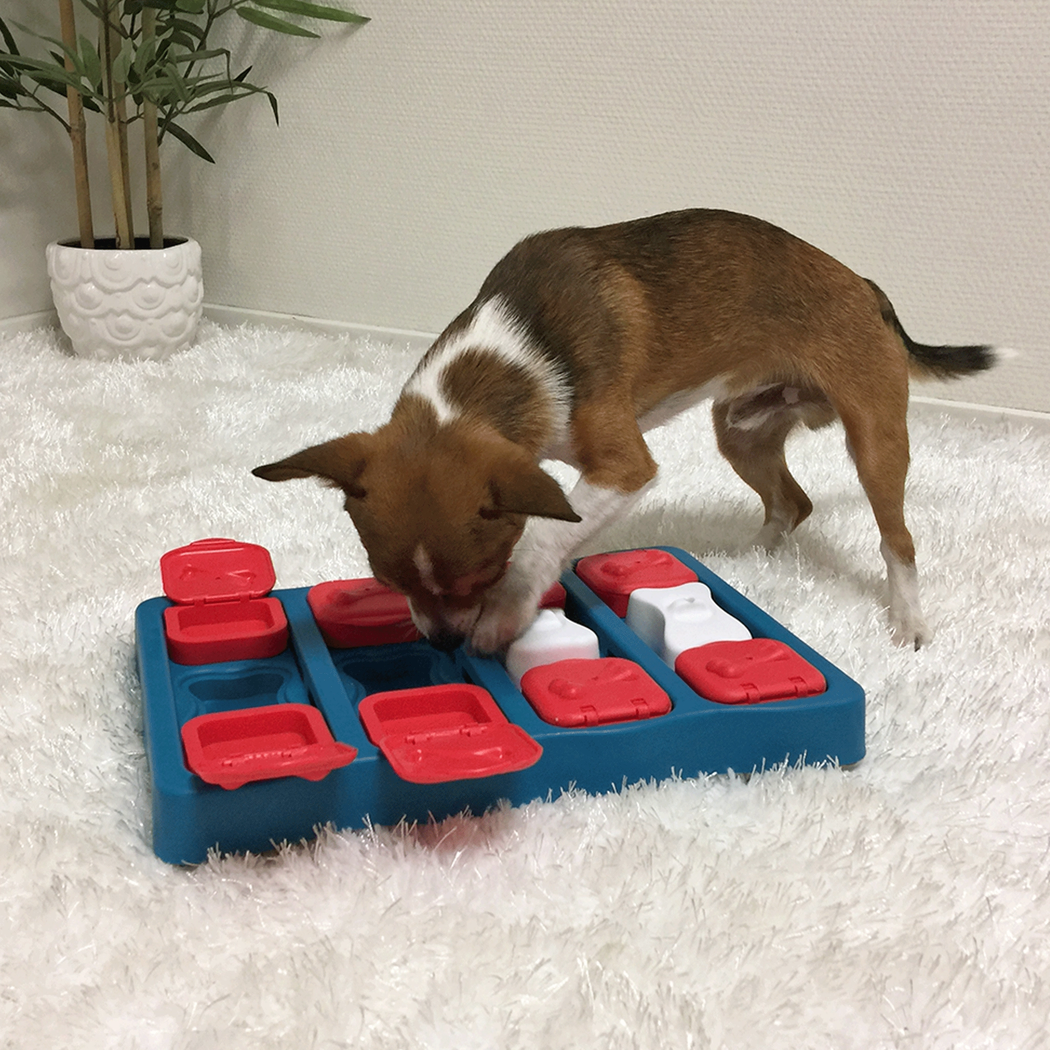 Nina Ottosson Dog Brick Blue Dog Toys