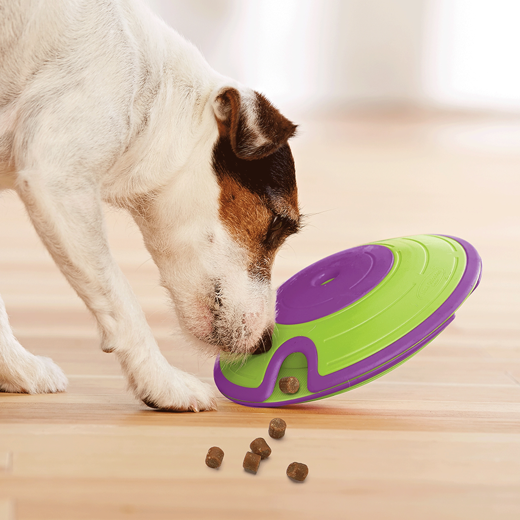 Nina Ottosson Dog Treat Maze Green Dog Toys