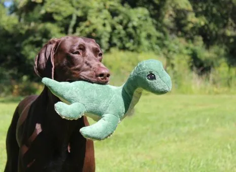 Tall Tails Plush Nessie with Squeaker Dog Toy